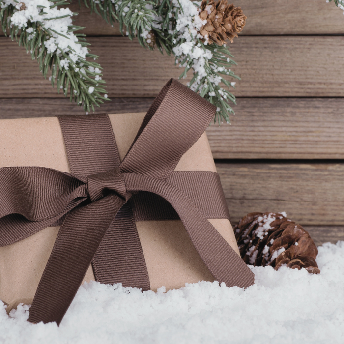 Gift wrapped in brown paper with ribbon sitting in snow.