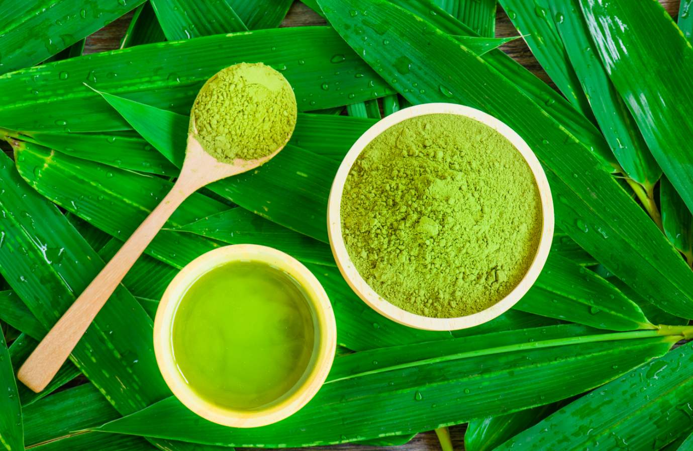 Matcha Green tea and green tea powder on background of leaves