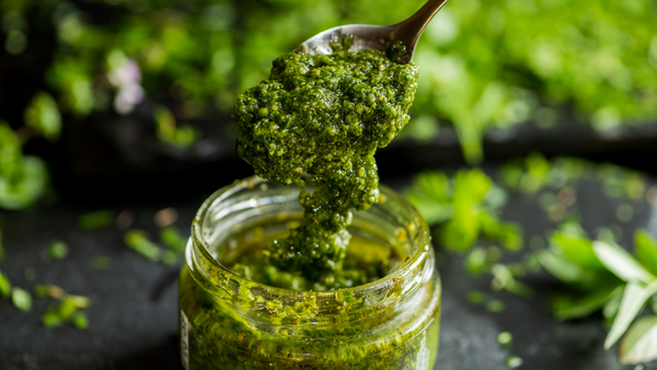 Graydon’s Cilantro Pumpkin Seed Pesto