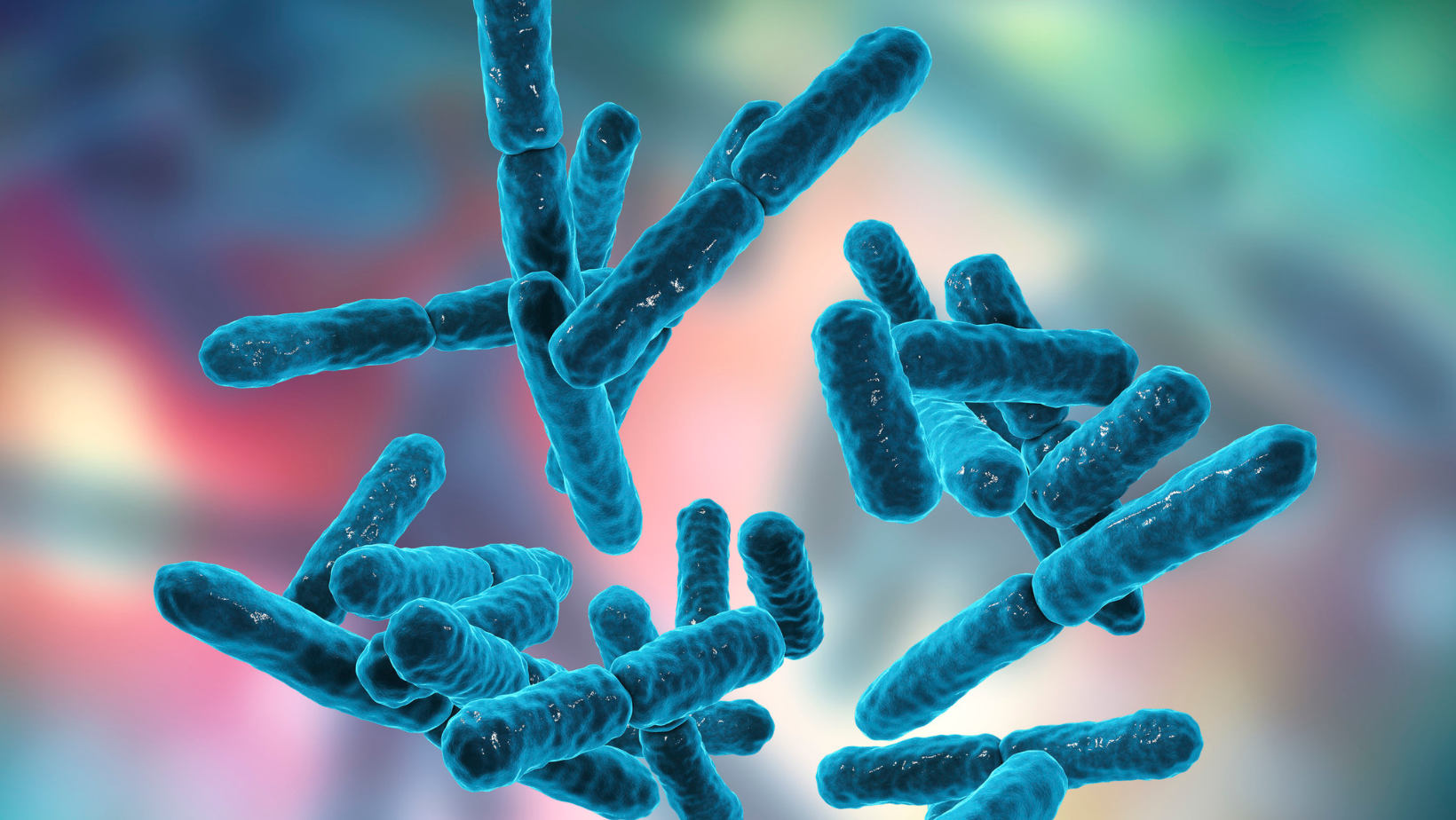 Image of blue probiotic bacteria with colour blurry background.