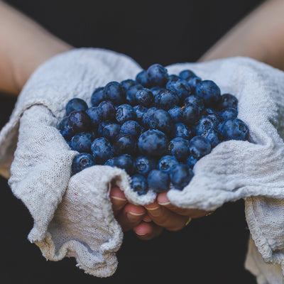 Why Blueberry Seed Oil is a Must-Have in Your Skincare Routine