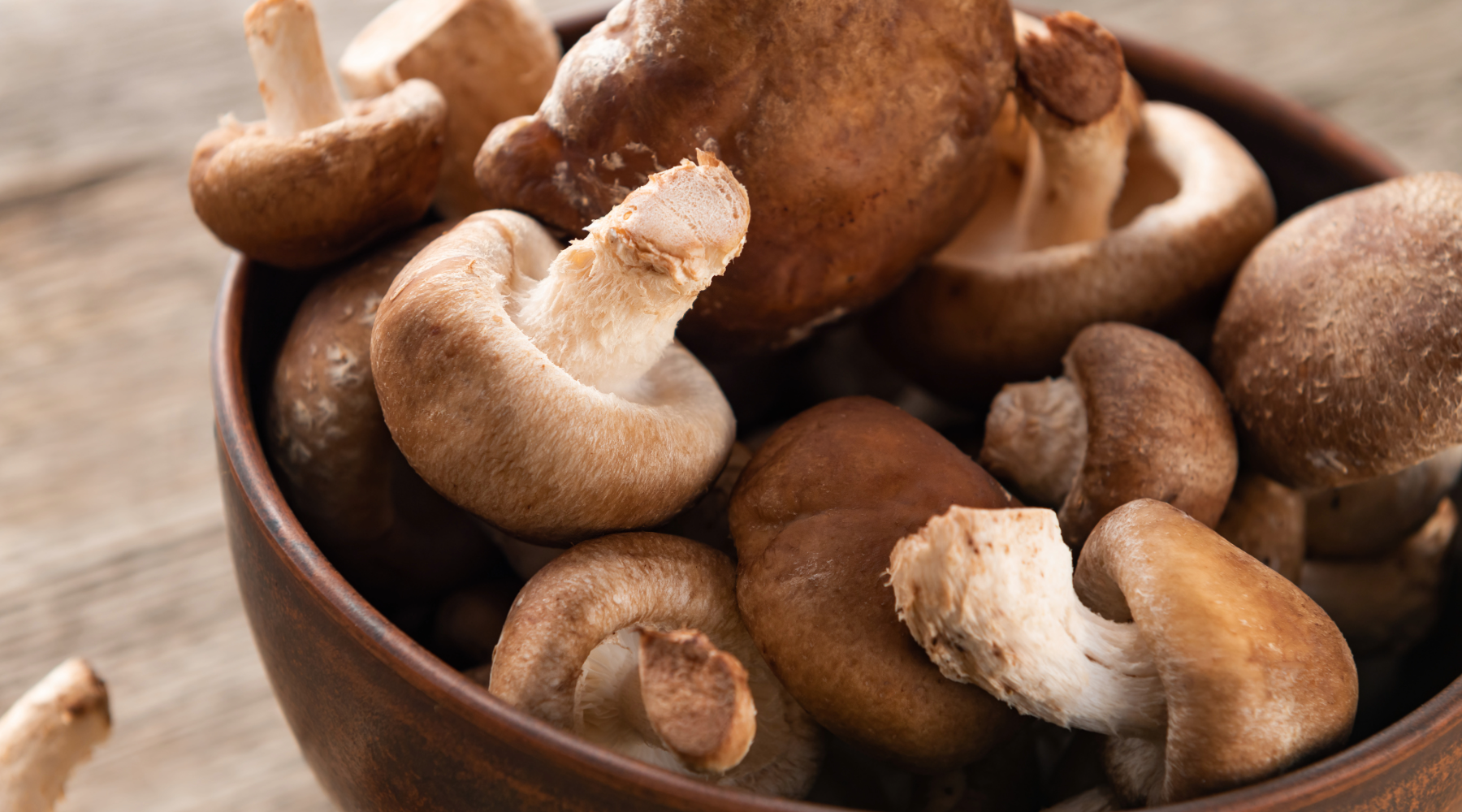 Ingredient Highlight: Shiitake Mushroom