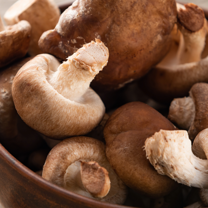 Ingredient Highlight: Shiitake Mushroom